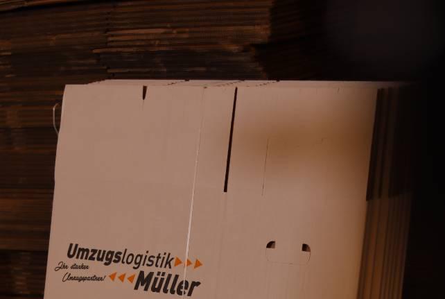 Günstiger Behördenumzug Bertsdorf Hörnitz
