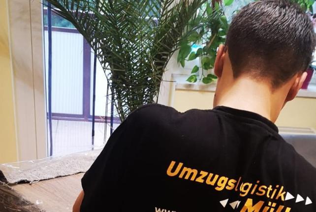 Laborumzug Bertsdorf Hörnitz stressfrei umziehen 